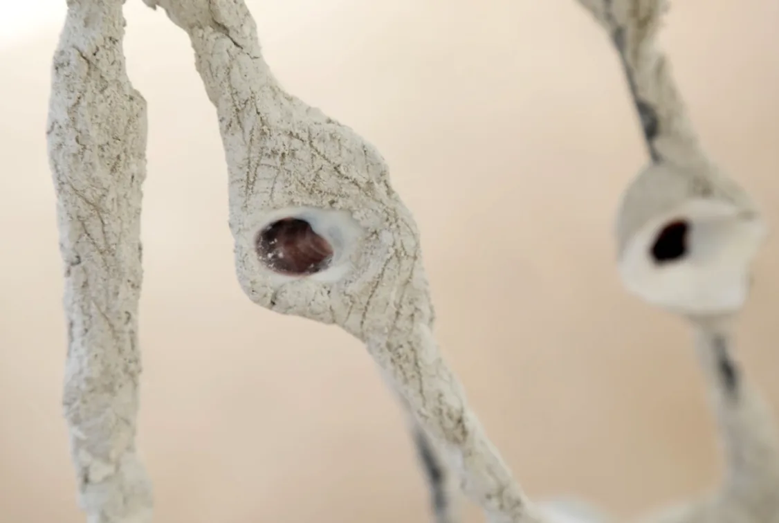 Close-up of a shell-inspired sculpture on display