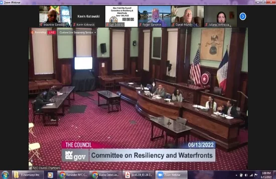 Remote government hearing about resilience and waterfronts