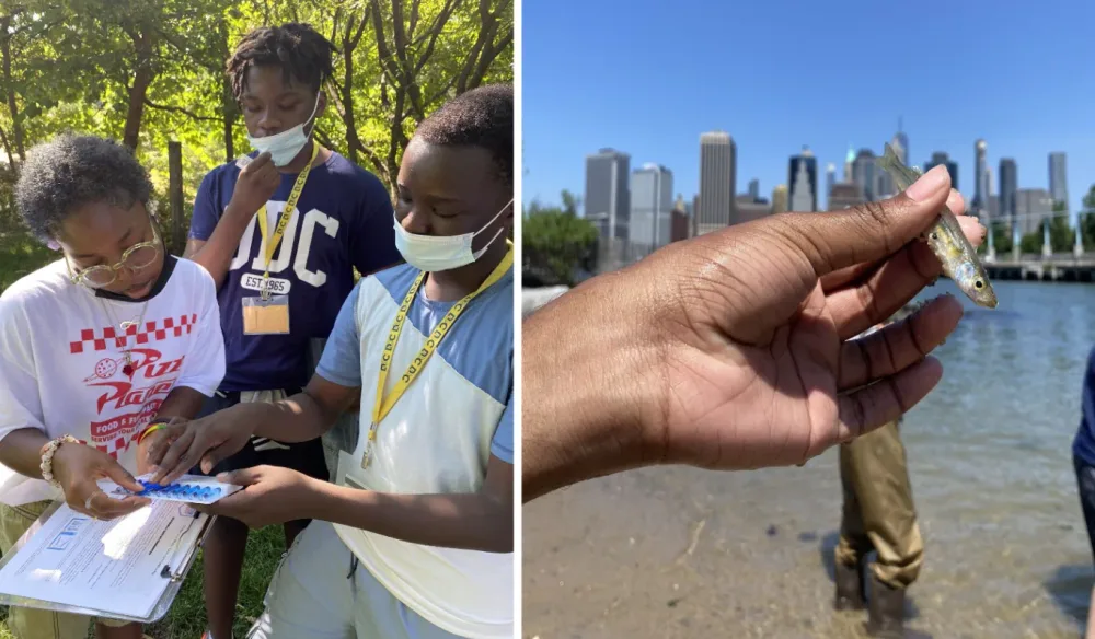 Students record field observations with the Manhattan skyline behind them