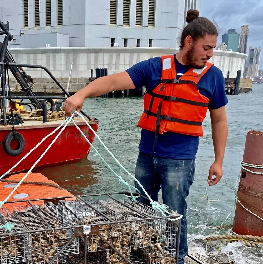 Crew member lowers an oyster cage into the water