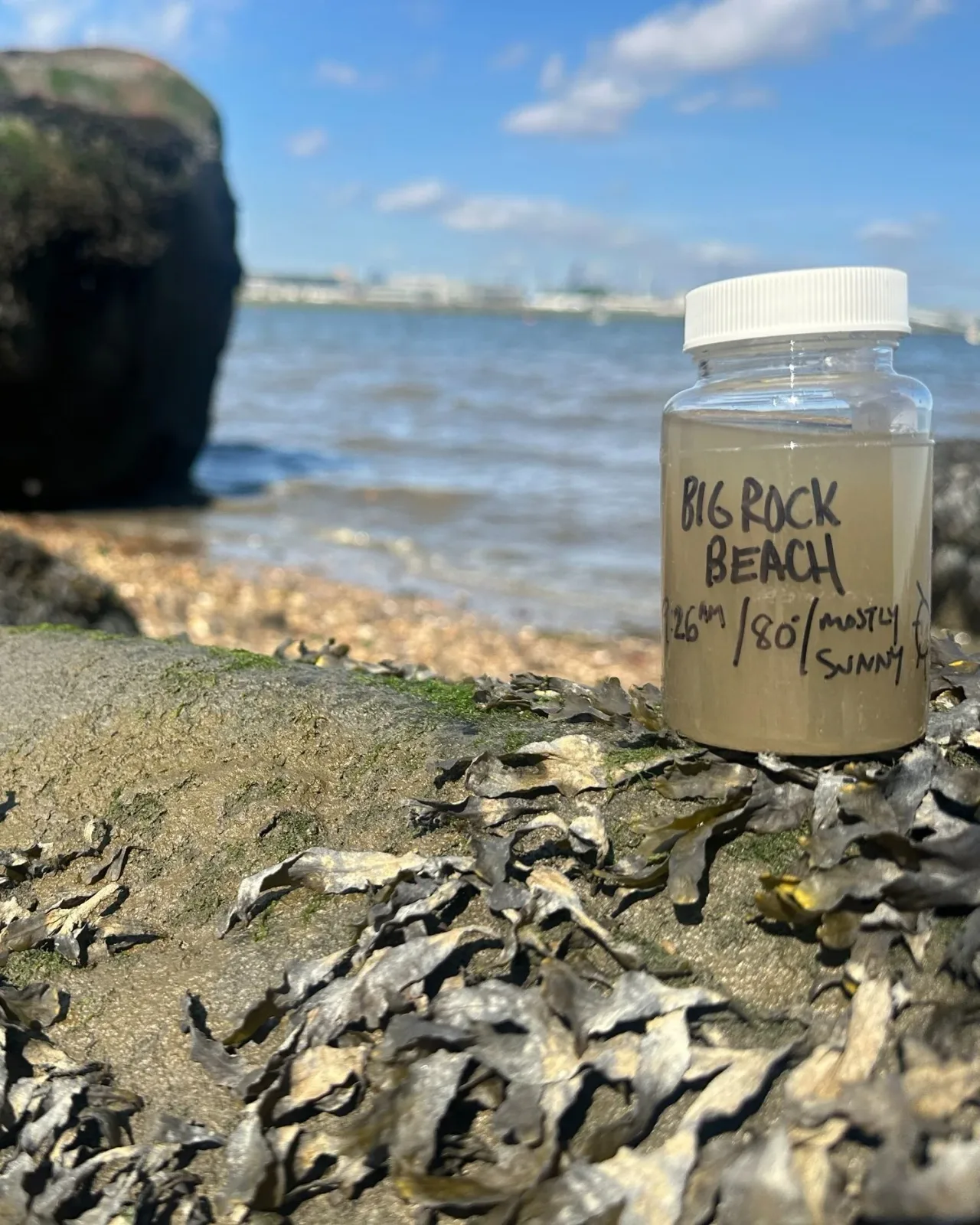 A water-quality sample jar rests beside oysters on a New York Harbor shoreline