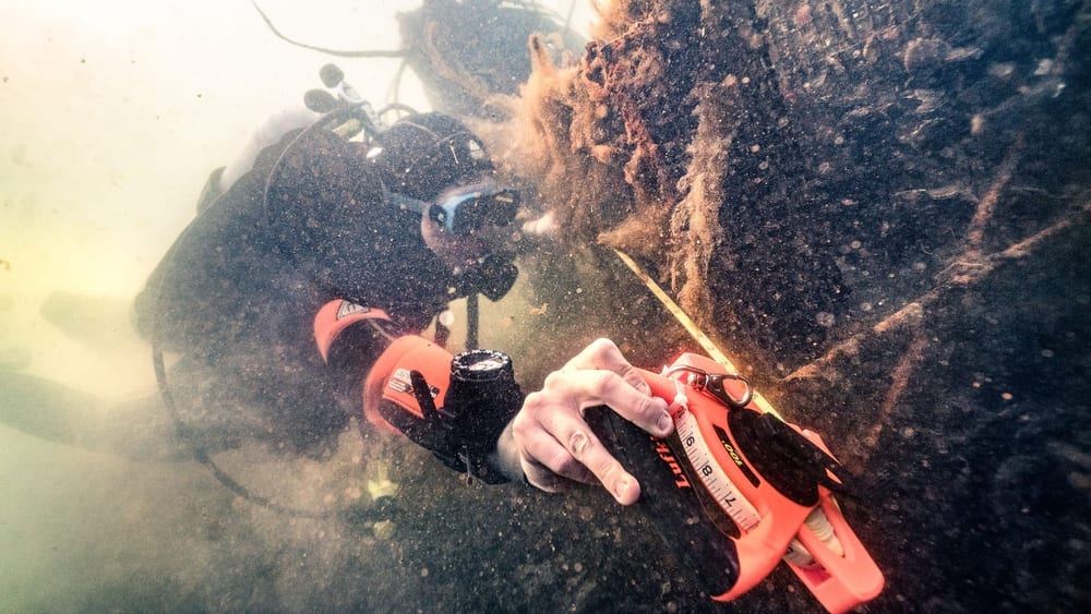 Diver uses a measuring tool on an underwater oyster-covered structure