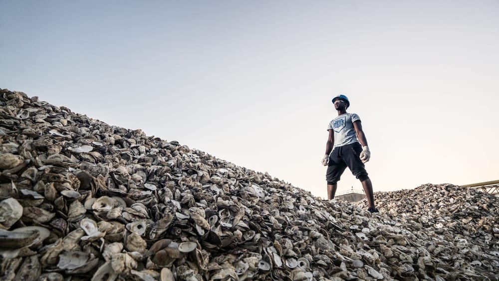 Billion Oyster Project workboat travels on New York Harbor