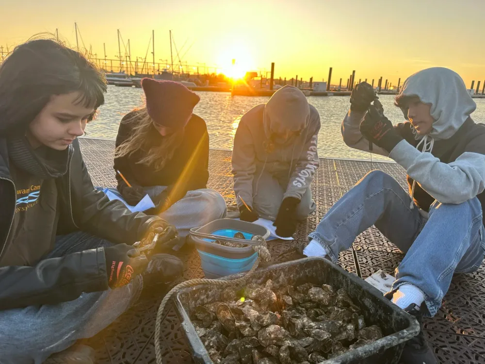 Students examine oysters beside the water at sunset