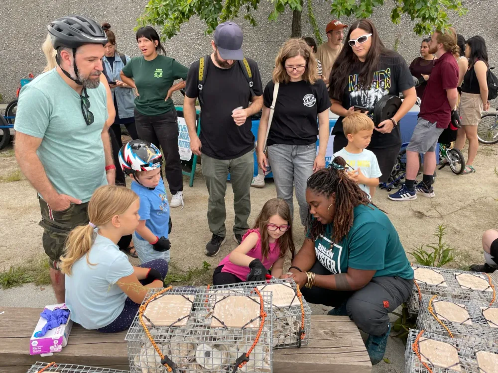 Families examine oyster cages together at an outdoor event