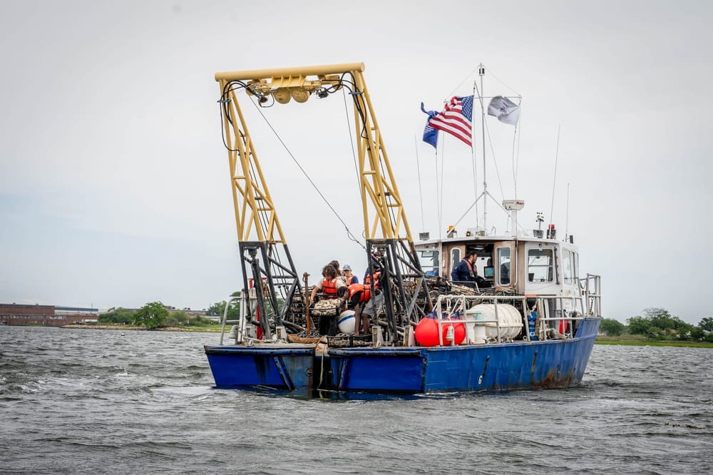 Restoration workboat carries oyster cages across the harbor