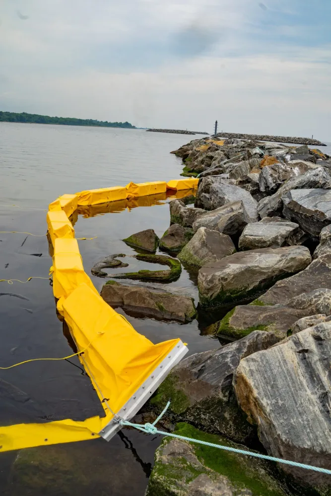 curtain protection around oyster larvae setting areas to maximize in-situ recruitment