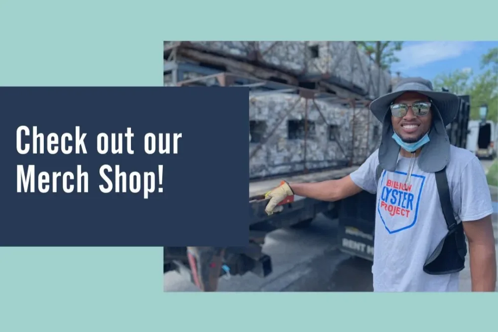 Billion Oyster Project merchandise shop graphic