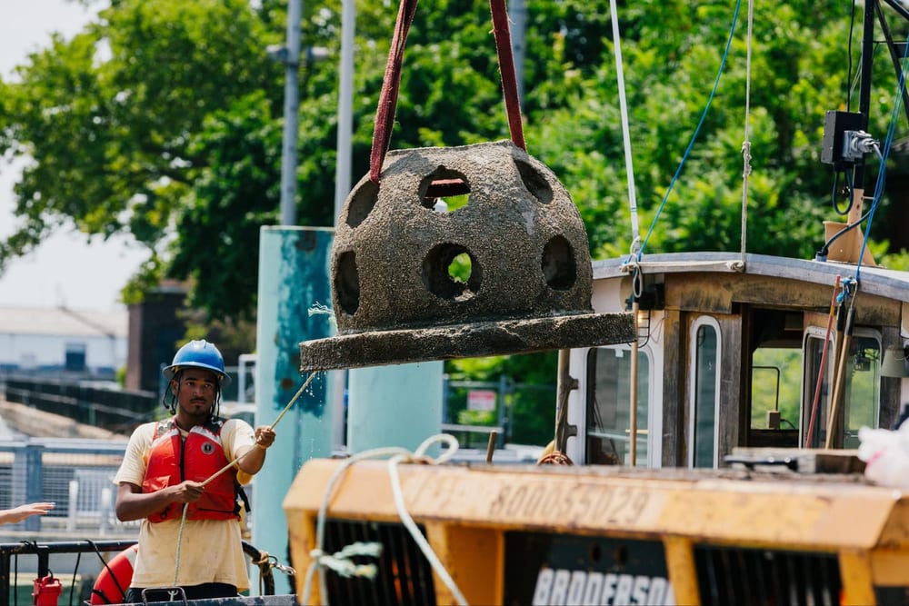 Reef structure hangs from a crane above a workboat