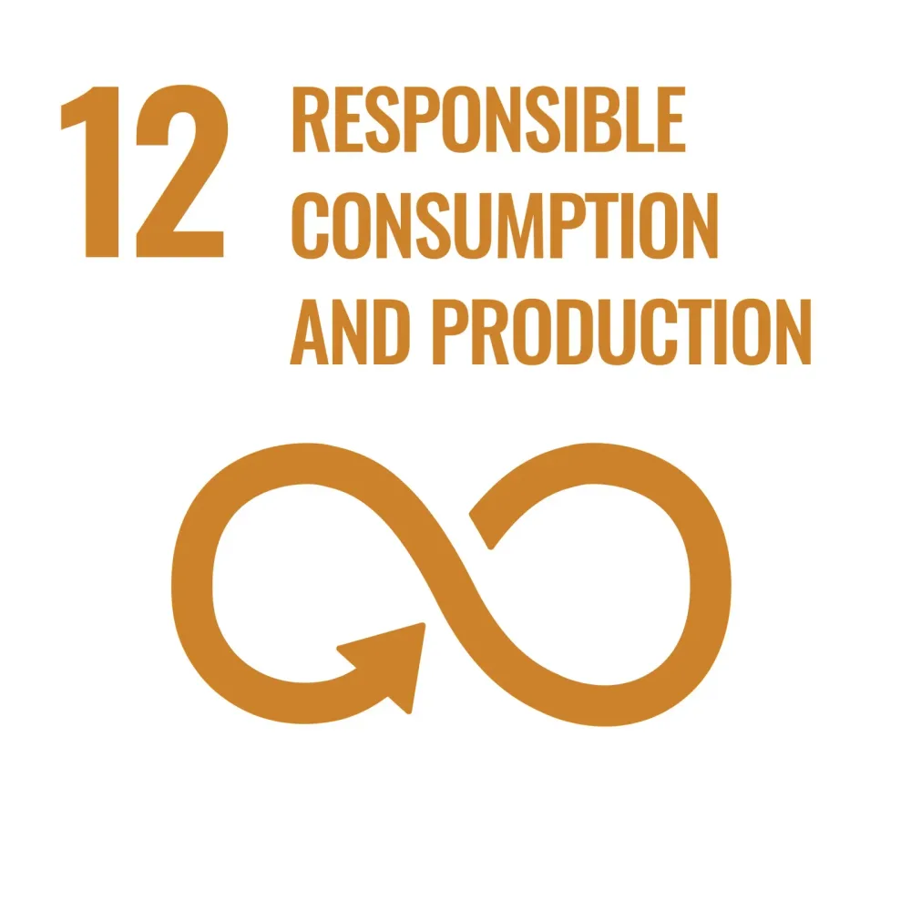 United Nations Sustainable Development Goal 12: Responsible Consumption and Production