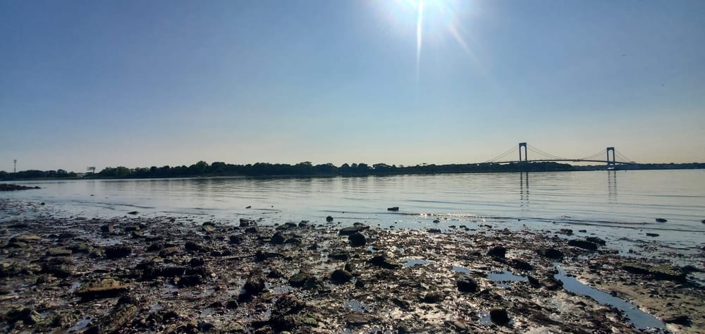 Pugsley Creek shoreline
