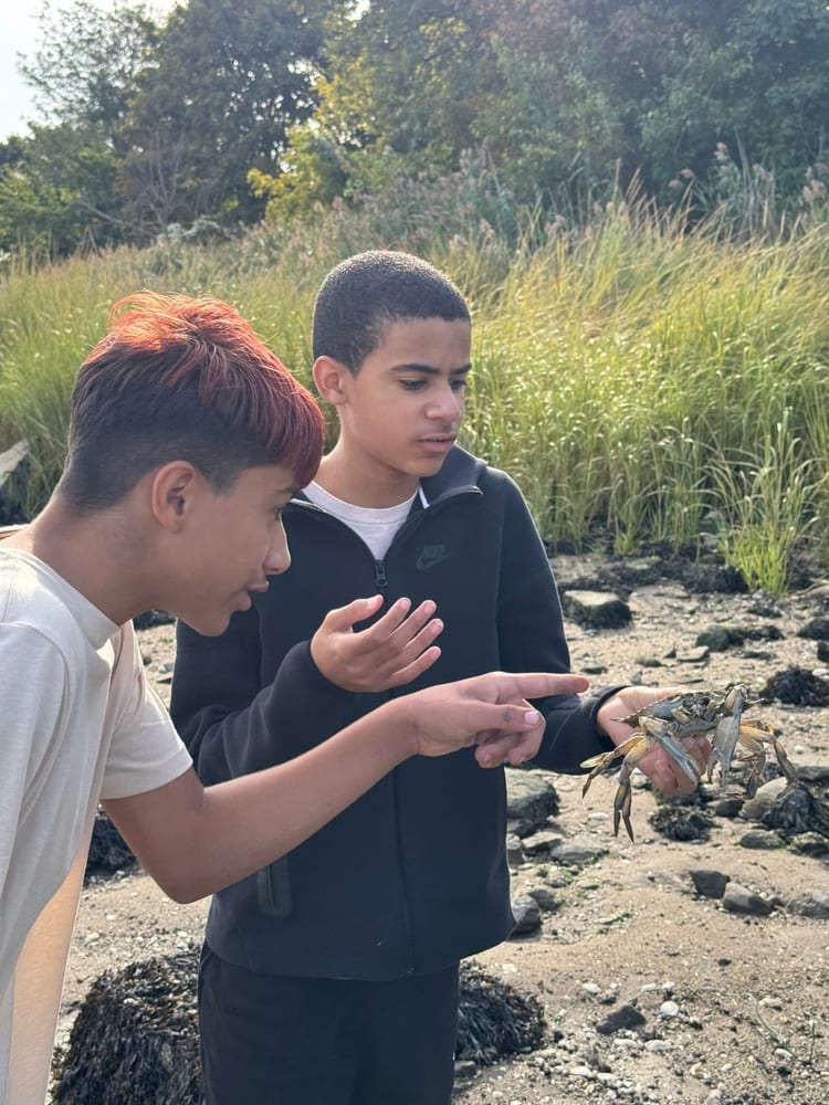 Students examine specimens beside a marsh