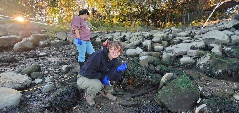 Two people explore a rocky shoreline