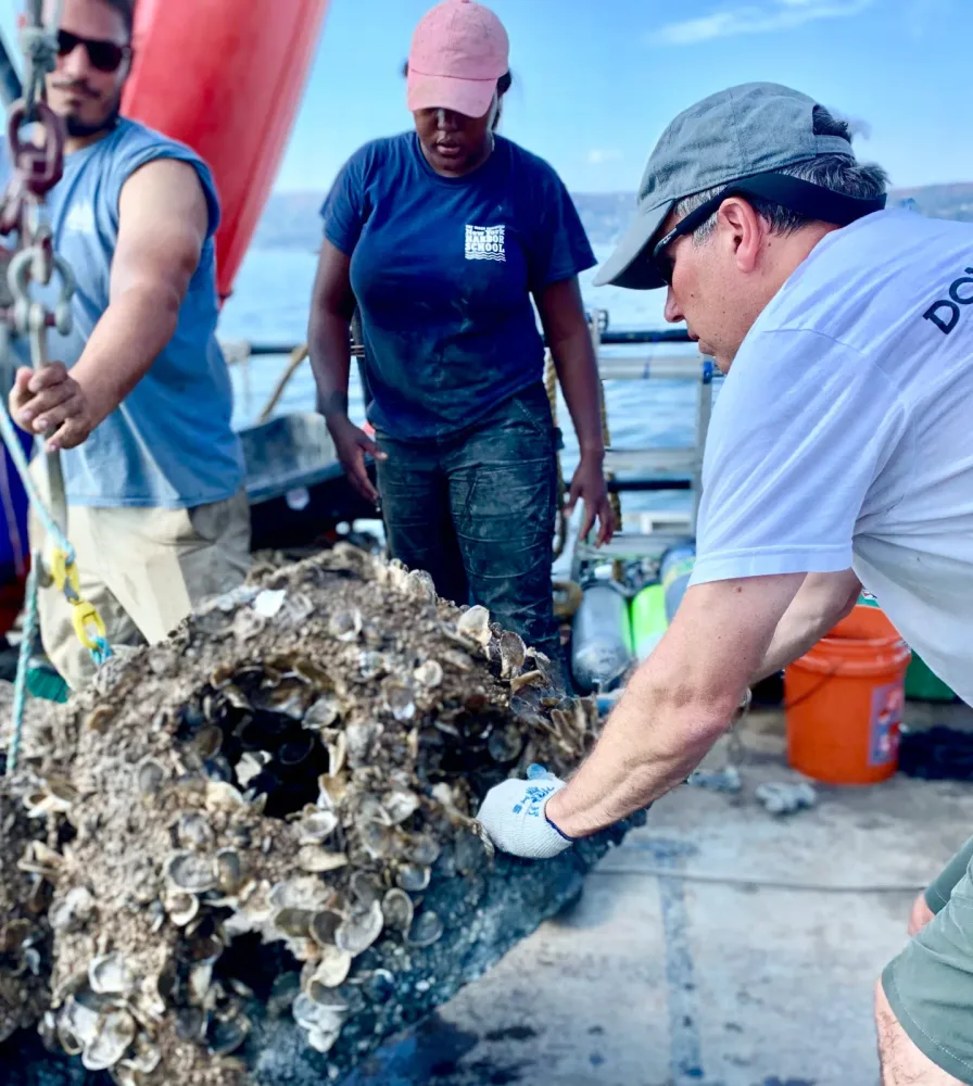Workers examine a large reef structure