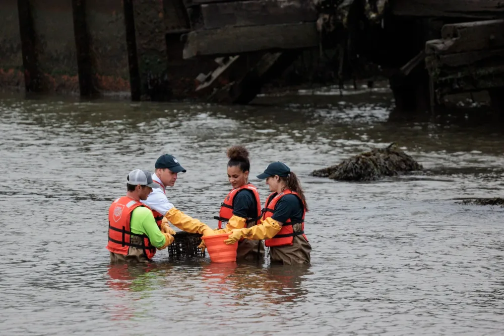 Prince William joins staff members working in shallow water