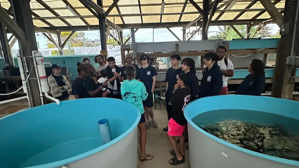 Students gather around large oyster tanks in an open-air facility