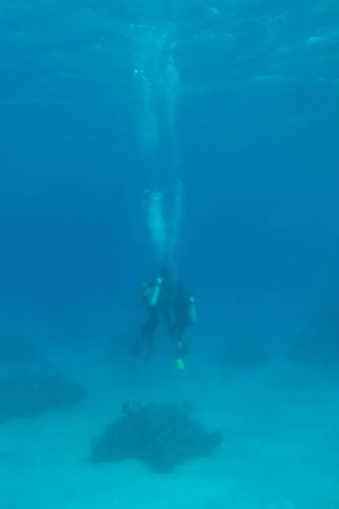 Underwater view of a diver above the seafloor