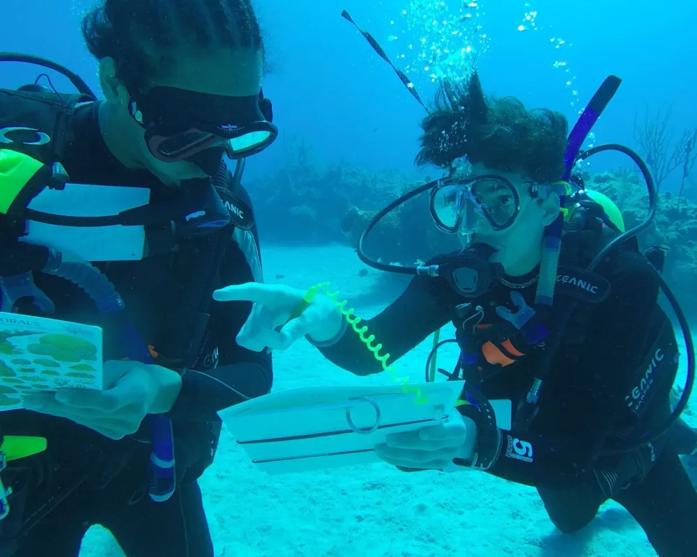 Two scuba divers work together underwater