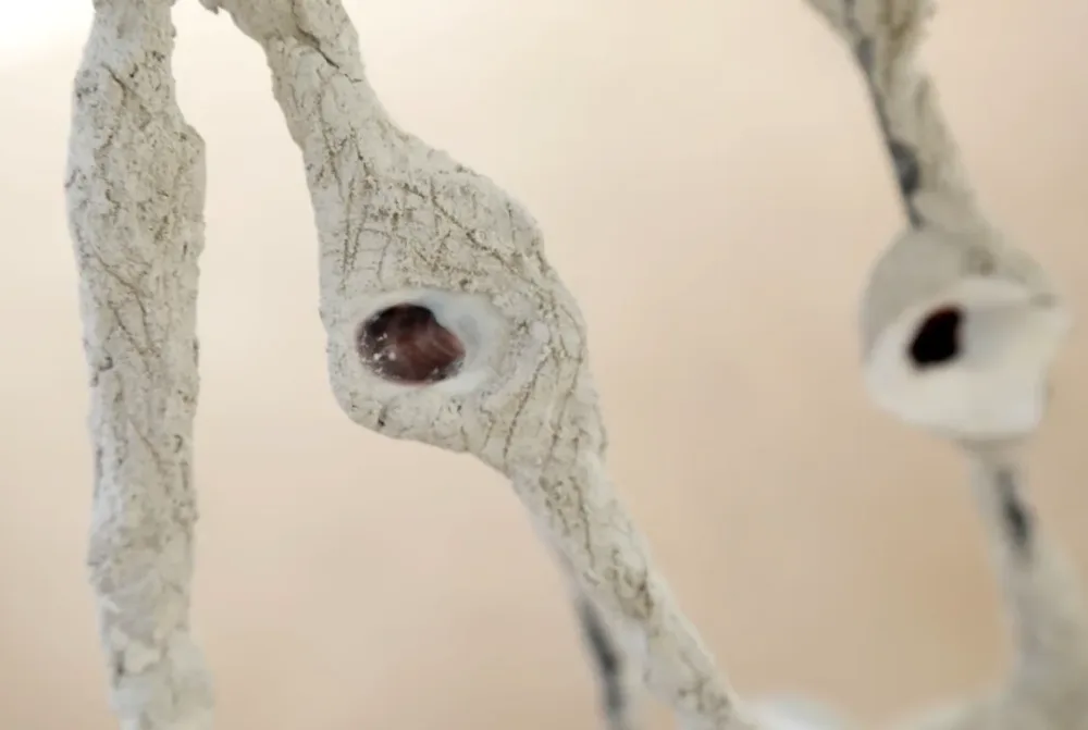 Close-up of a sculpture of oyster shells set into rough, branching plaster-like forms