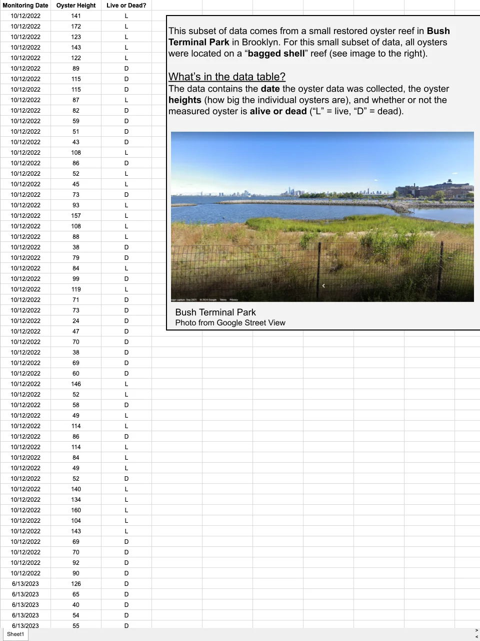 ORT L9 — Dataset Sample