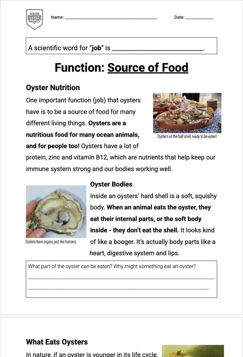 3-5 Keystone — Source of Food Reading