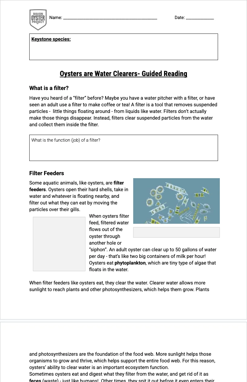 6-8 Keystone — Water Clearers Reading