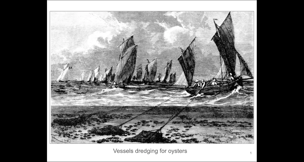 Harbor L9 — Images of Humans and the Harbor