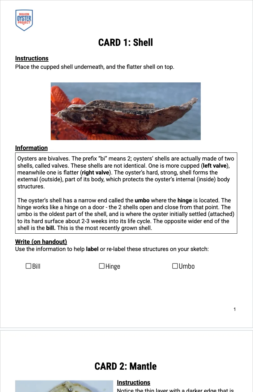 6-8 Anatomy — Anatomy Structure Cards