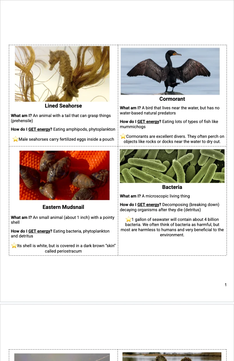 Harbor L6 — Food Web Cards
