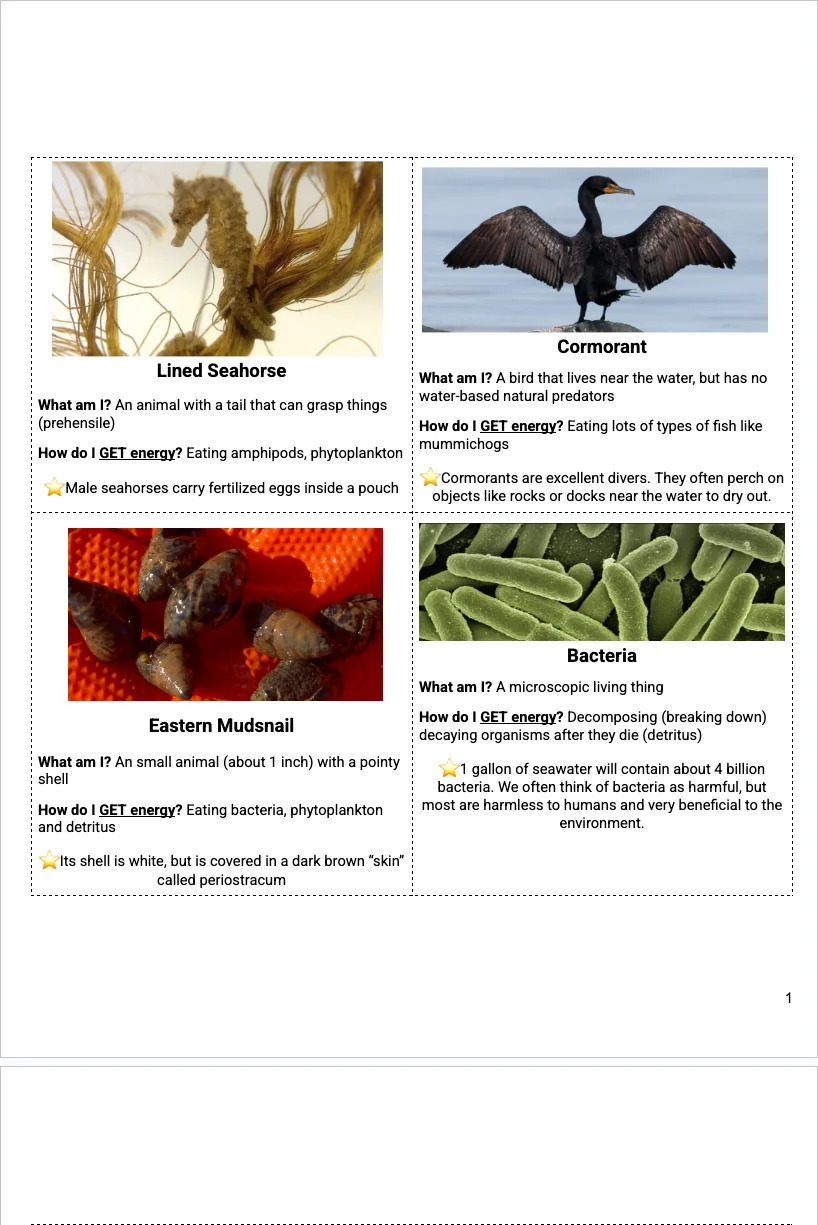 6-8 Food Web — Food Web Cards