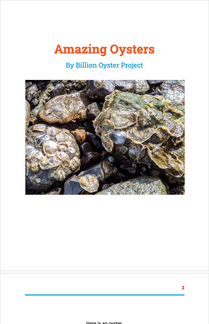 K-2 Keystone — Amazing Oysters Read Aloud