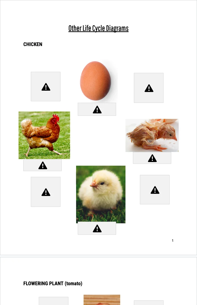 3-5 Anatomy — Other Life Cycle Diagrams