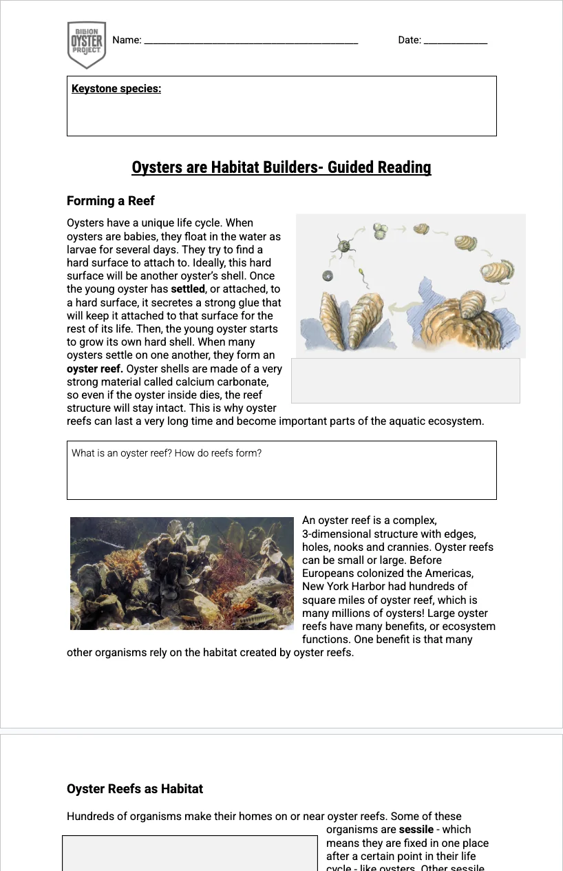 6-8 Keystone — Habitat Builders Reading