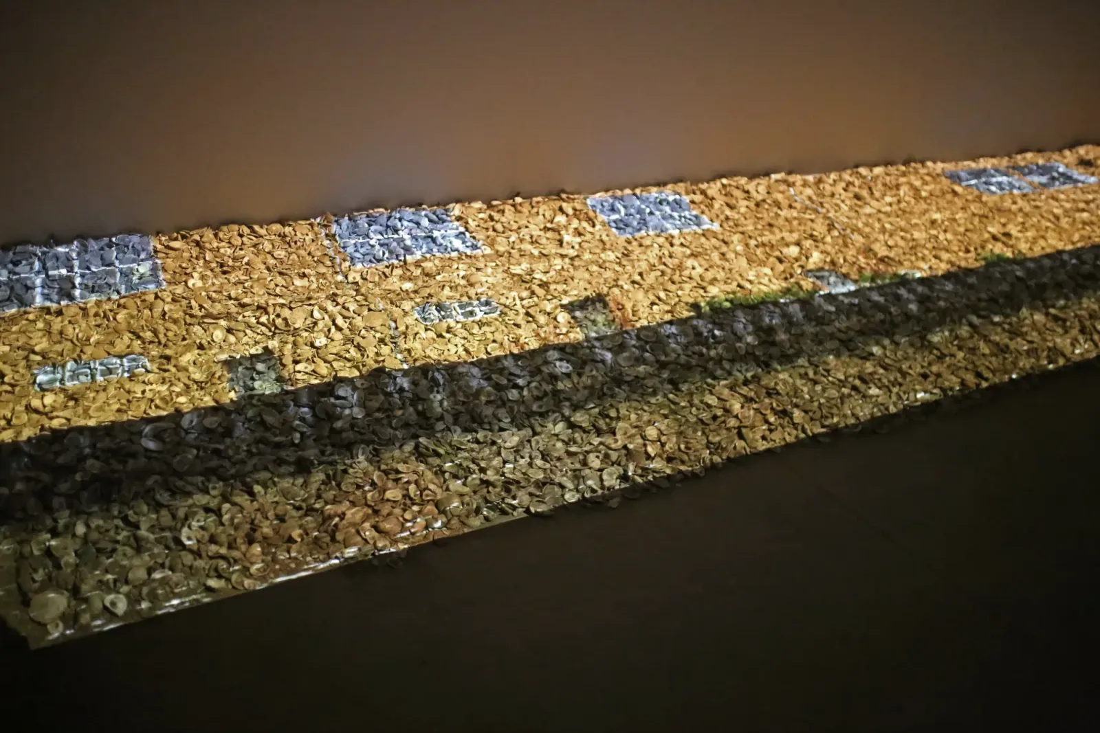 Long rows of oyster shells arranged in a public art installation