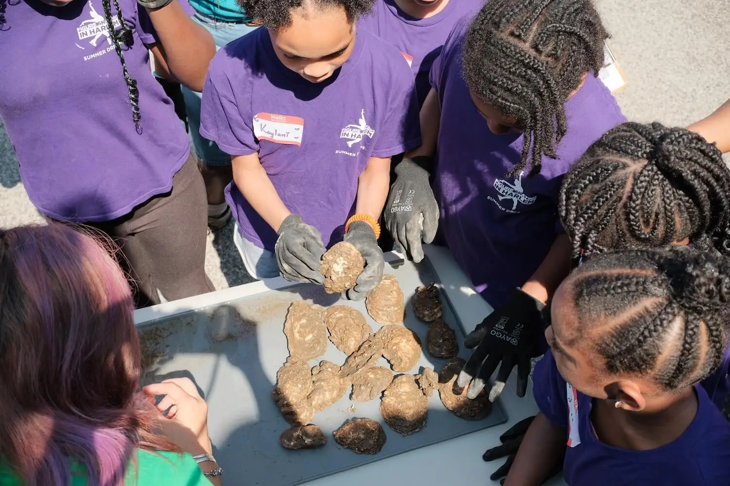Students wearing gloves examine oysters around an outdoor table