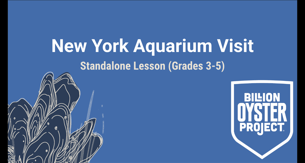 3-5 Aquarium — Slides