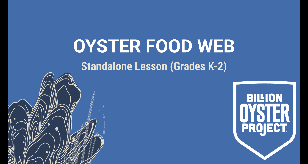 K-2 Food Web — Slides