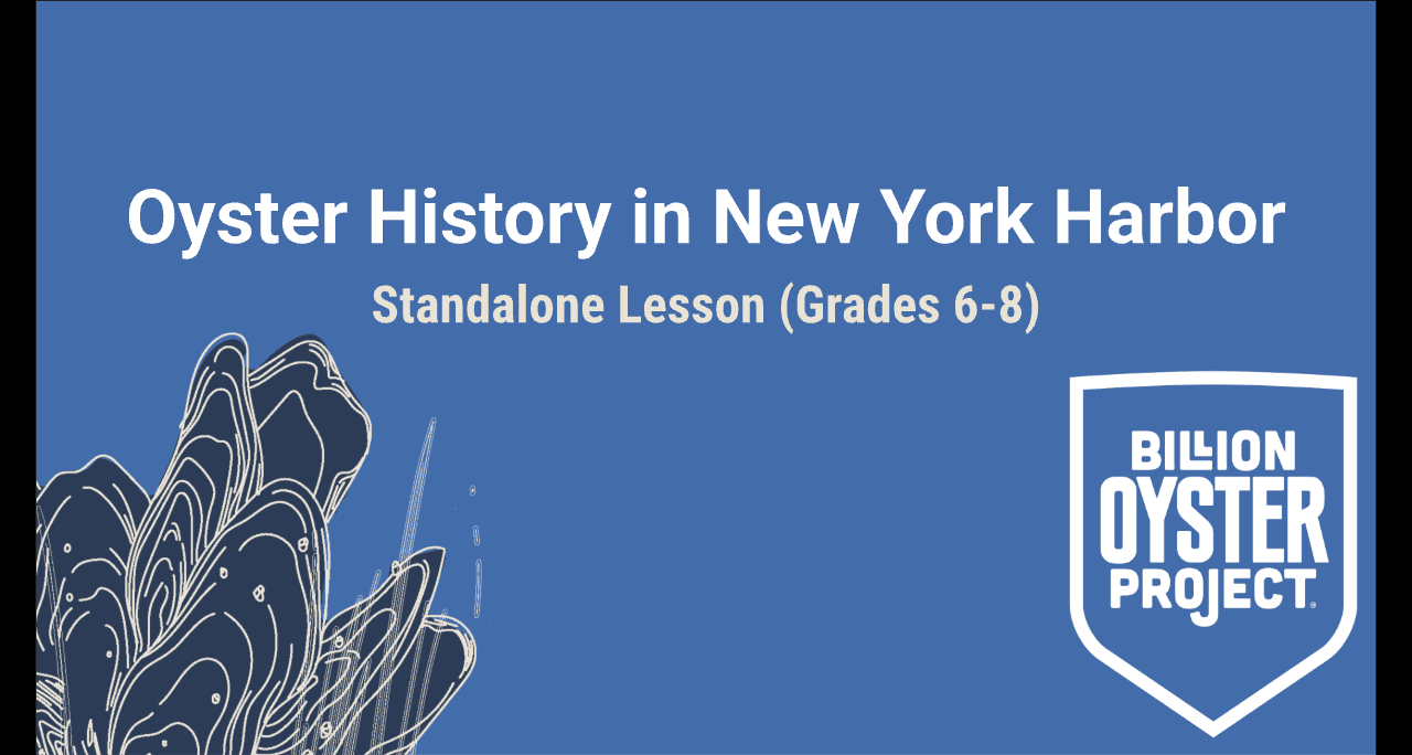 6-8 History — Slides