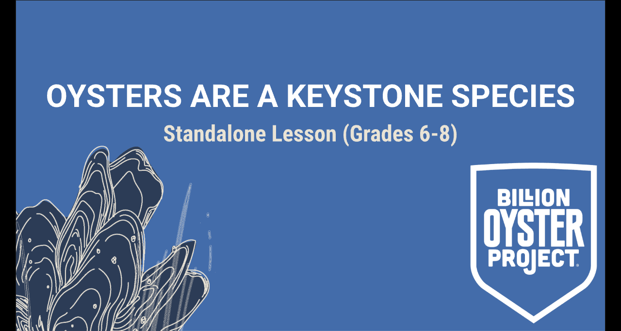6-8 Keystone — Slides