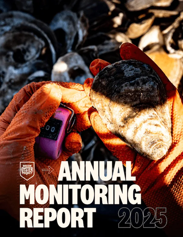 NYC Oyster Monitoring Report: 2025