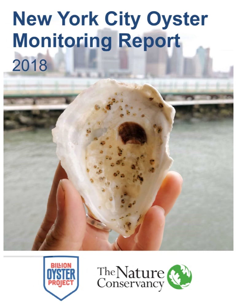 NYC Oyster Monitoring Report: 2018