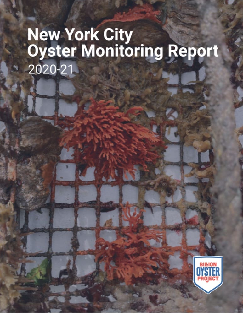 NYC Oyster Monitoring Report: 2020-2021