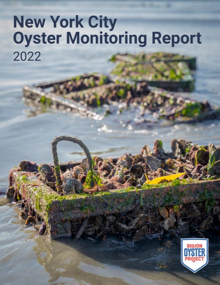 NYC Oyster Monitoring Report: 2022