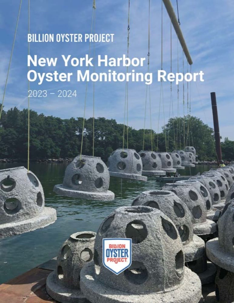 NYC Oyster Monitoring Report: 2023-2024
