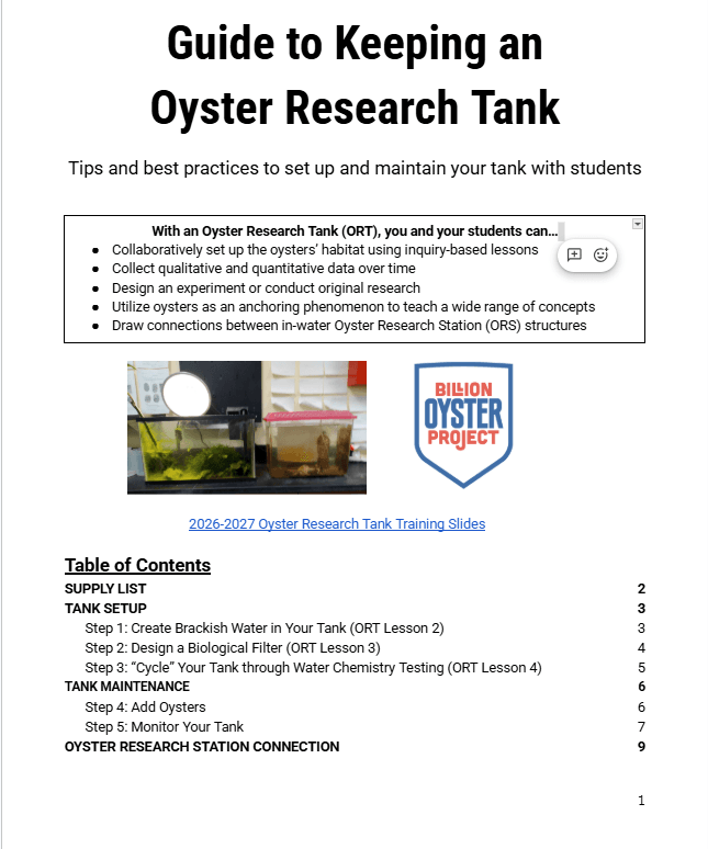 Guide to Keeping an Oyster Tank_Updated June 2025