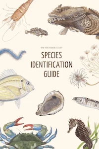 Toolkit species id guide