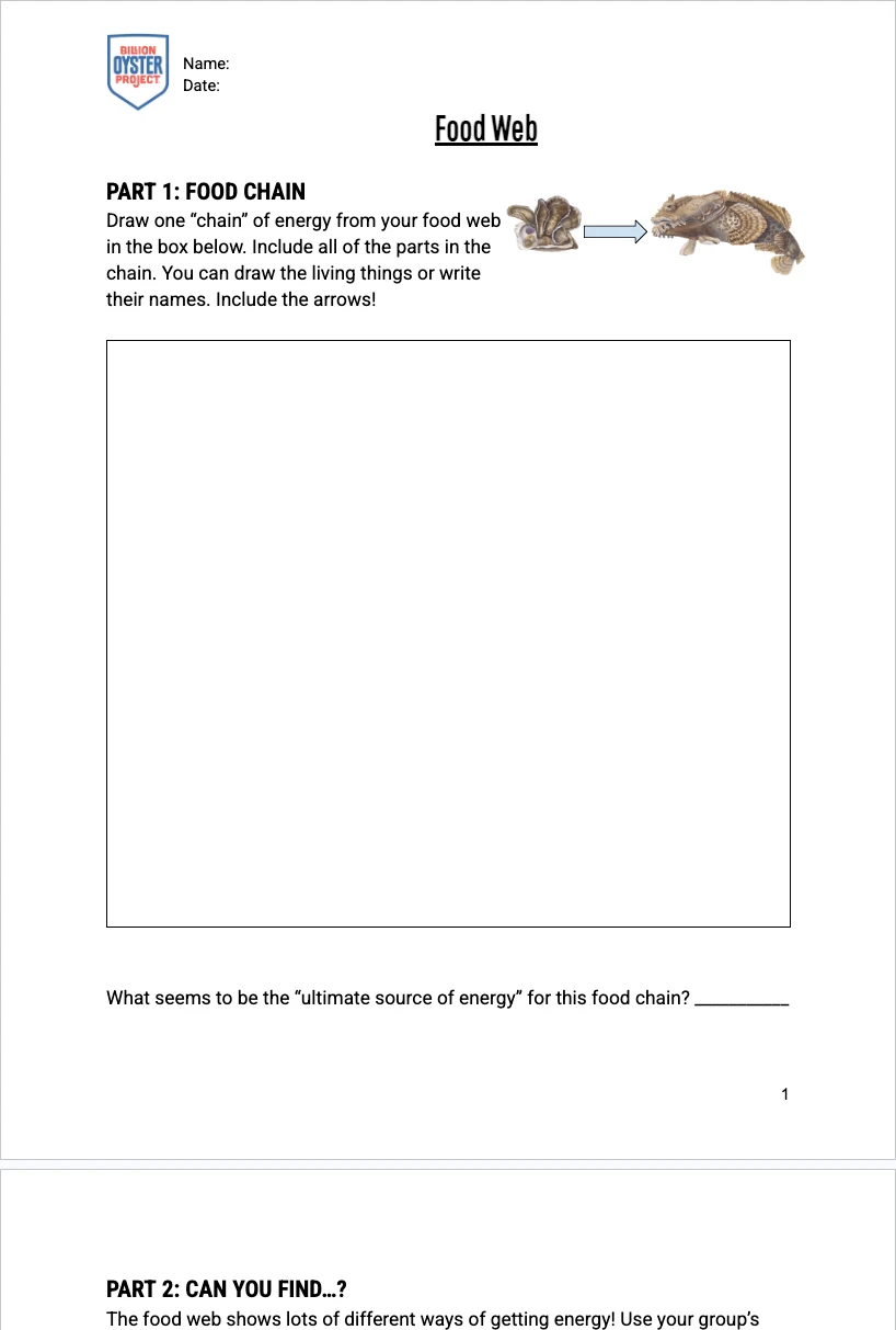 3-5 Food Web — Handout