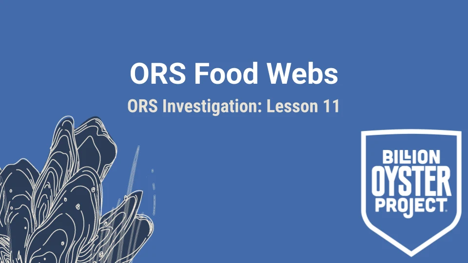 ORS L11 — Slides