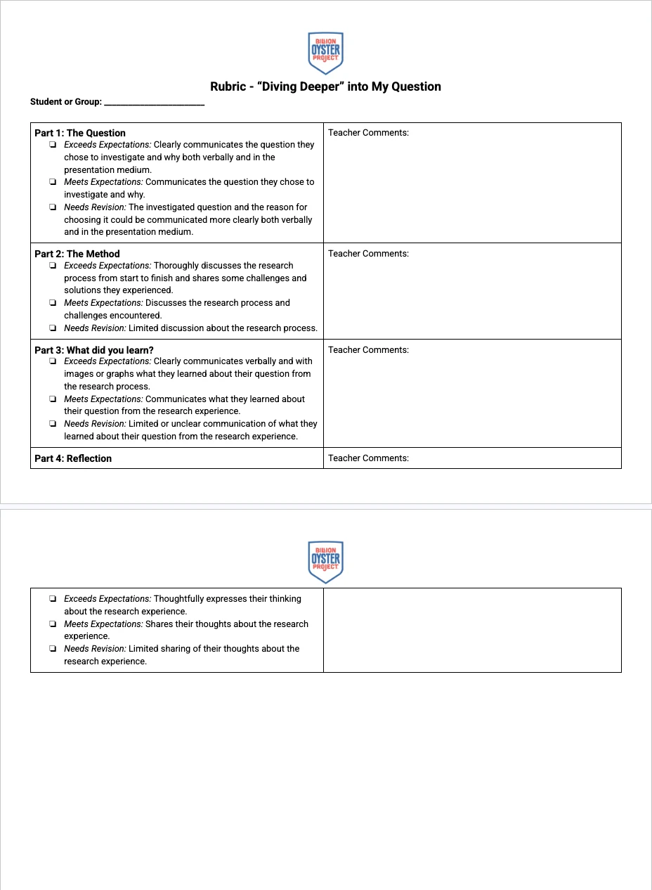 ORT L10 — Rubric (Diving Deeper)