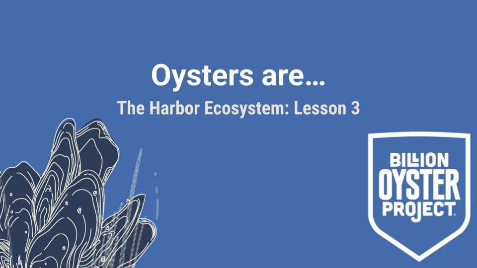 Harbor L3 — Slides